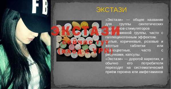 твердый Краснослободск